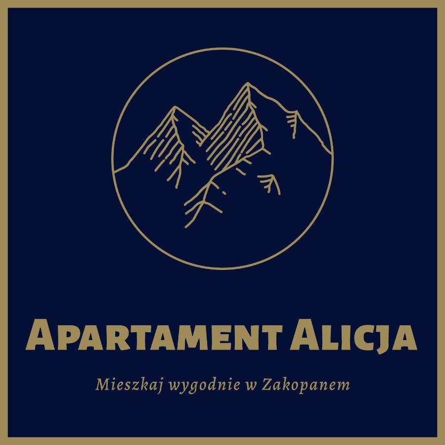 Apartament Alicja, Scisle Centrum, Orkana 3 Zakopane Ngoại thất bức ảnh
